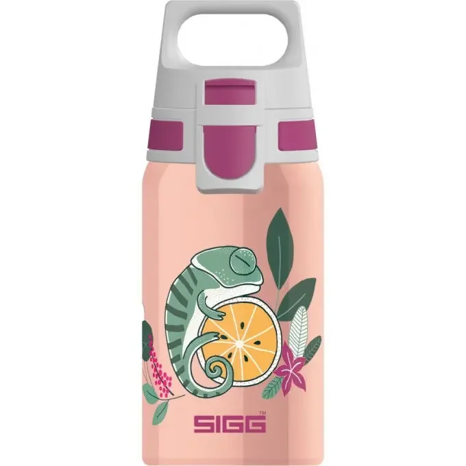 Acheter En Ligne Gourde SIGG SHIELD ONE 0.5L Flora