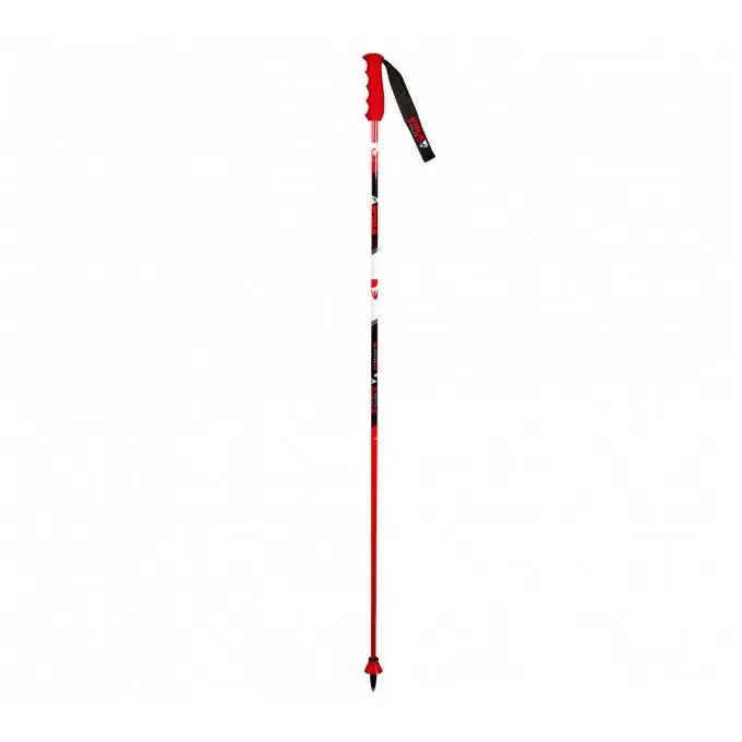 Achetez Aujourd’hui Bâtons de ski Vola GS CARBON GEANT