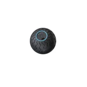 Appareil de massage Theragun WaveSolo