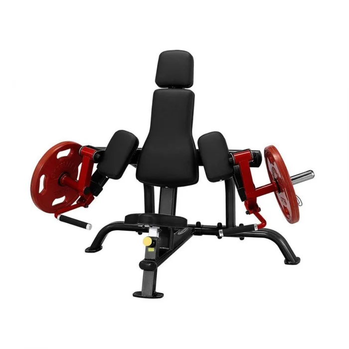 Appareil de musculation biceps charge plaque Steelflex [Taille 168x97x128 cm]