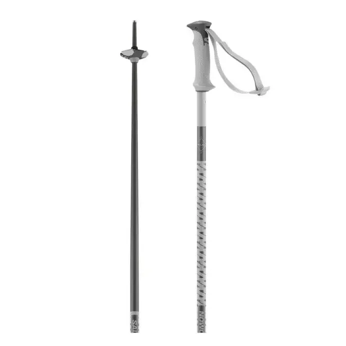 Authentique Bâtons SALOMON Polar – Grey Violet