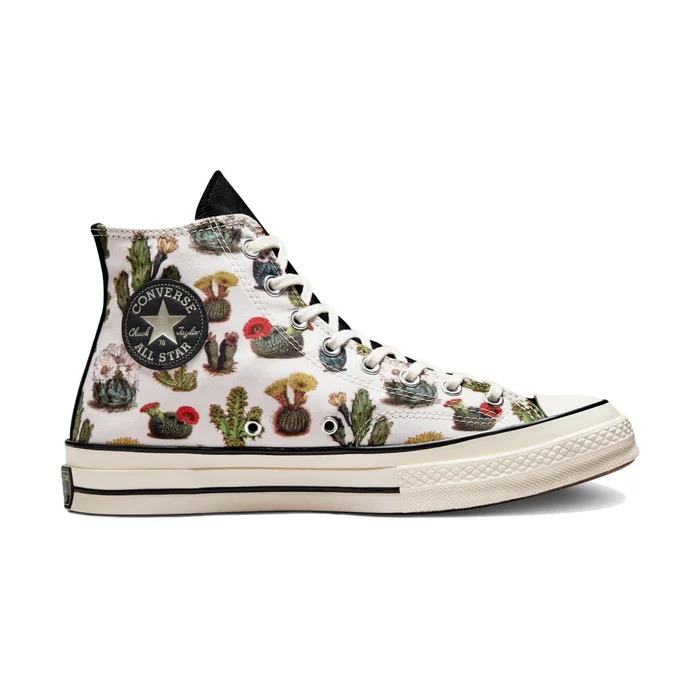Baskets Converse Chuck 70 Succulents