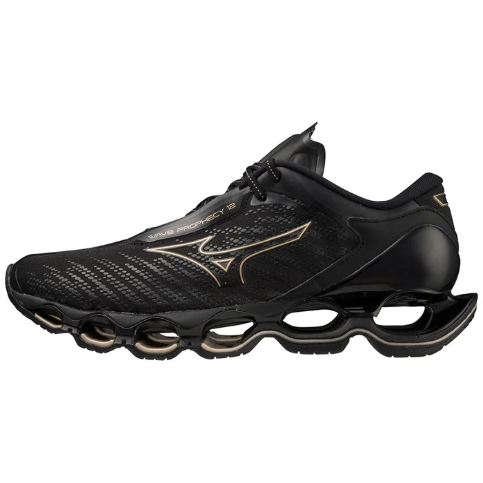 Baskets Mizuno Wave Prophecy 12 [Taille 36,5]
