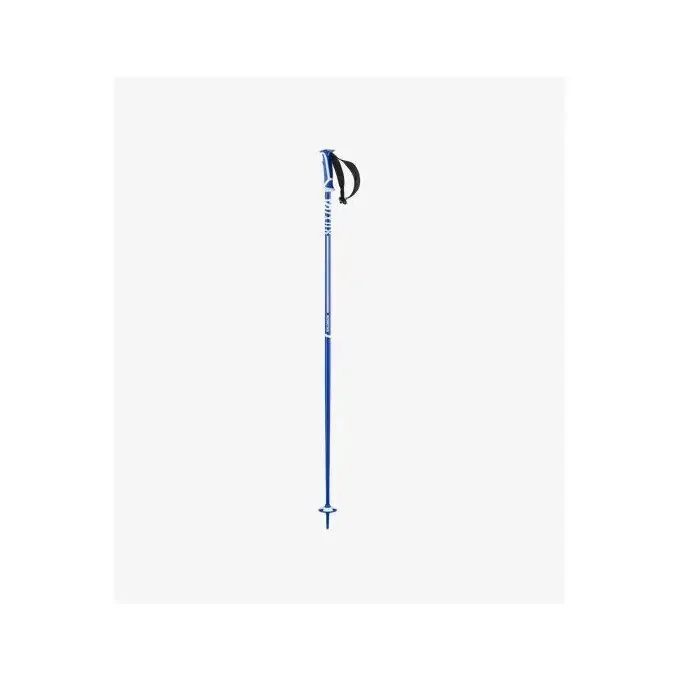 Bâtons de ski Salomon X 08 Race Blue Expédié Aujourd’hui