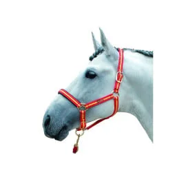 Cabezada de Nylon con Refuerzo de PVC