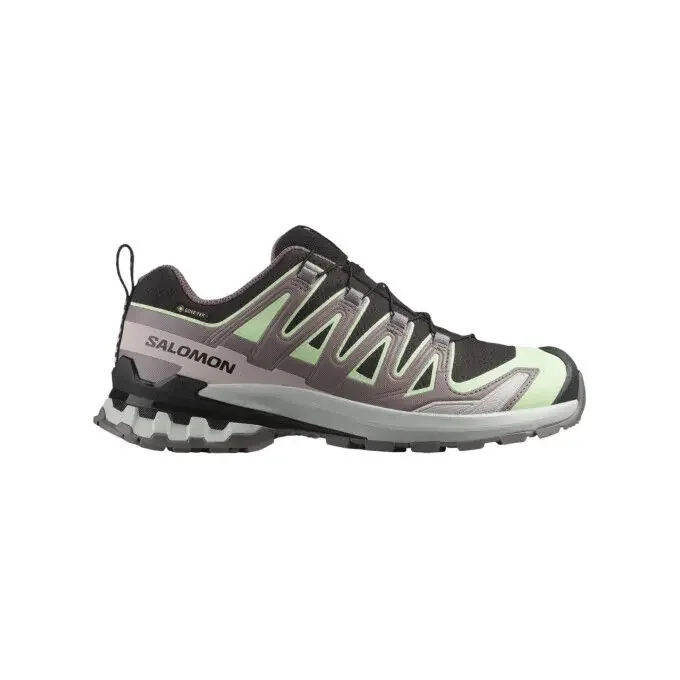 Chaussures de randonnée Salomon XA PRO 3D V9 GTX W Vente Flash