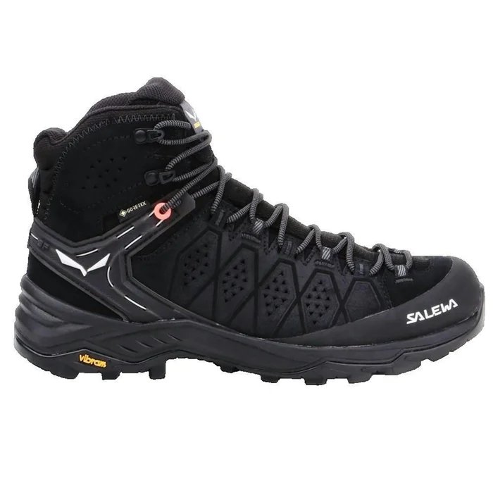 Chaussures de randonnu00e9e femme Salewa Ws Alp 2 [Taille 40]