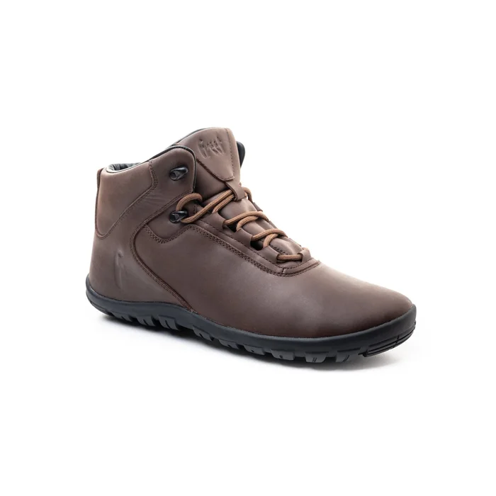 Chaussures de randonnu00e9e Freet Ibex [Taille 37]