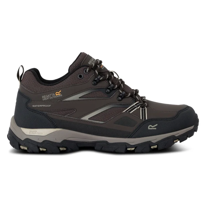 Chaussures de randonnu00e9e Regatta Holcombe III [Taille 40]