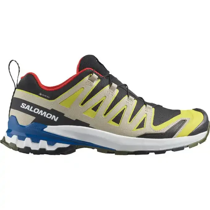 Chaussures de trail Salomon XA PRO 3D V9 GTX Acheter Direct