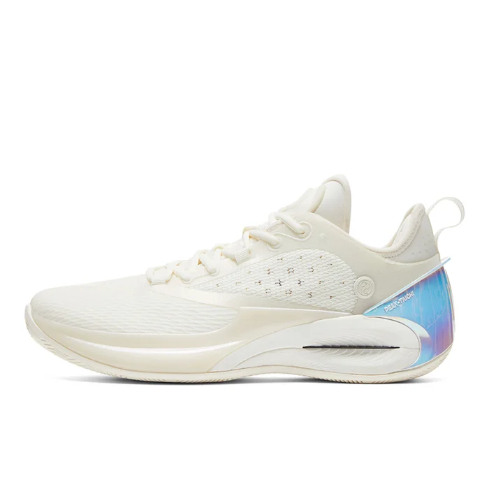 Chaussures indoor Peak PC AH24 AW 2 [Taille 41]