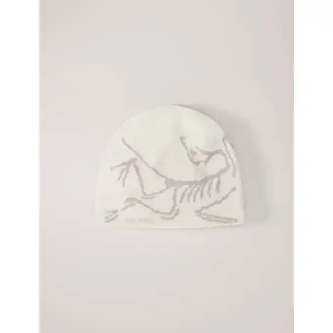 Commande En Gros Bonnet Arc’teryx BIRD HEAD