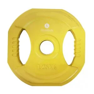 Disque Pump poignées 1,250Kg