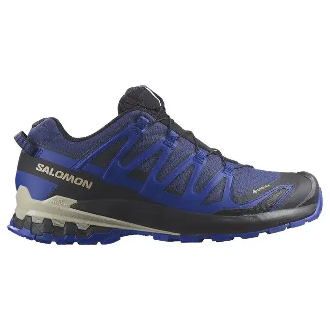 En Vogue Chaussures de trail running Salomon XA PRO 3D V9 GTX