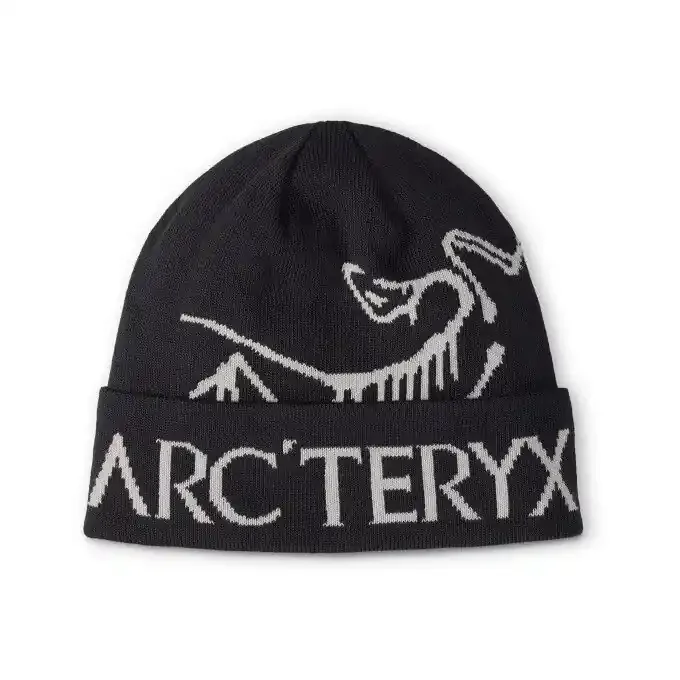 Meilleure Vente Bonnet Arc’teryx BIRD WORD TOQUE