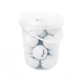 Pack 18 Bolas de Golf Recicladas Titleist Pro V1 Grados A-B