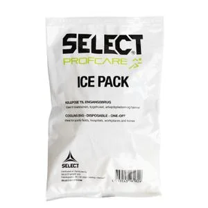 Poche de glace jetable