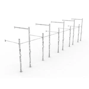 Rack de musculation Aximus V