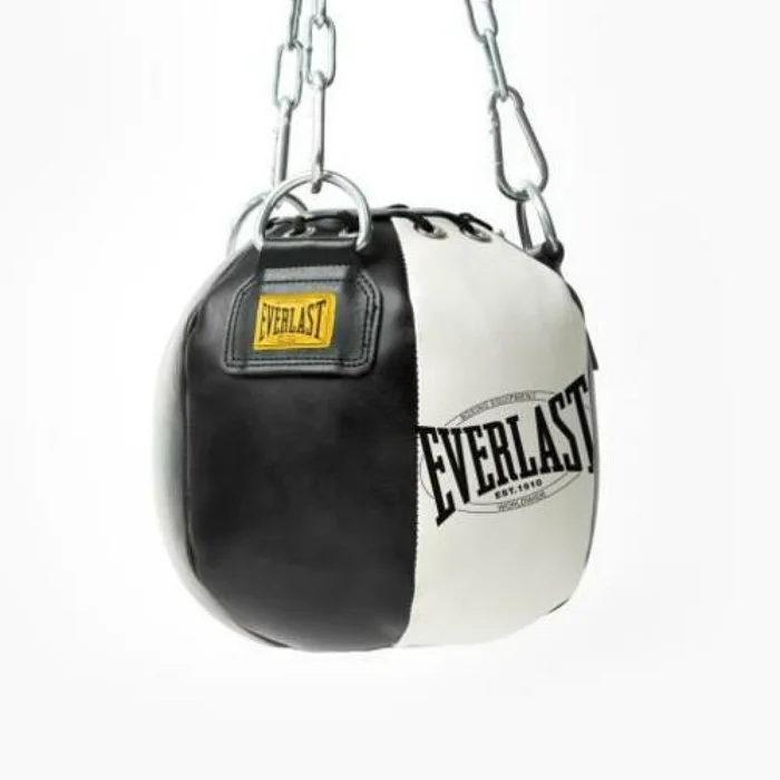 Sac de frappe Everlast 1910 Headhunt b [Taille 10 lbs]