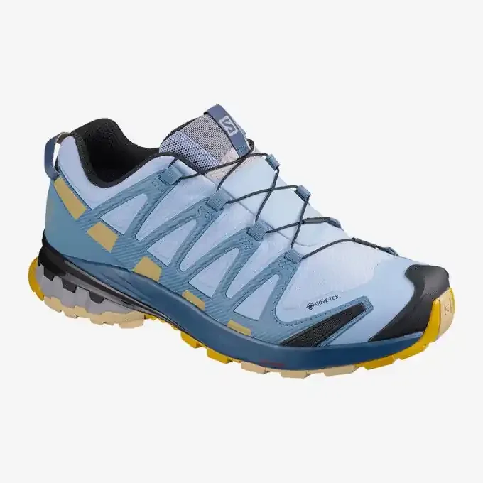 Vente Directe Chaussures de rando Salomon XA PRO 3D v8 GTX W Kentucky Blue/